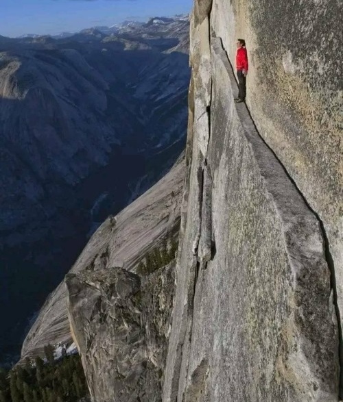 High Quality Alex Honnold Blank Meme Template