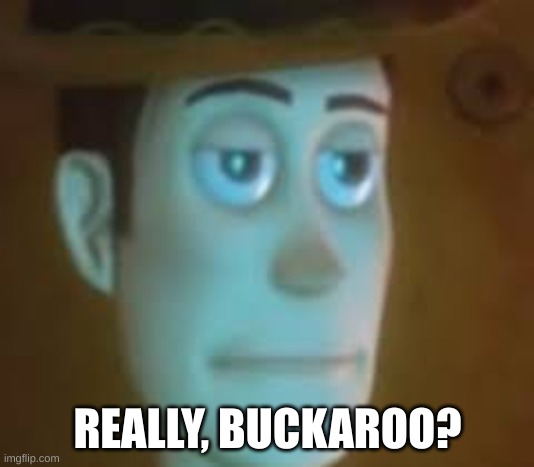 dissapointed woody | REALLY, BUCKAROO? | image tagged in dissapointed woody | made w/ Imgflip meme maker