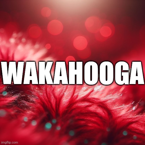 WAKAHOOGA | made w/ Imgflip meme maker