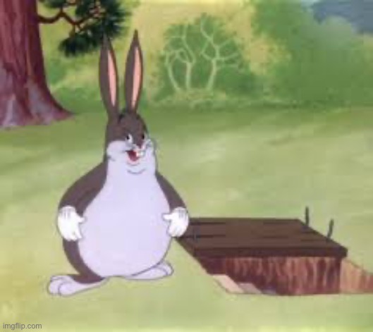 image tagged in big chungus | made w/ Imgflip meme maker