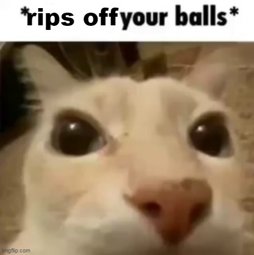 X your balls | rips off | image tagged in x your balls | made w/ Imgflip meme maker