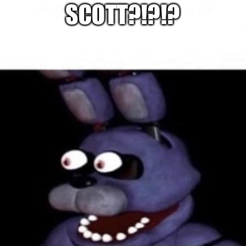 *cant breathe of laughter* | SCOTT?!?!? | image tagged in bonnie eye pop | made w/ Imgflip meme maker