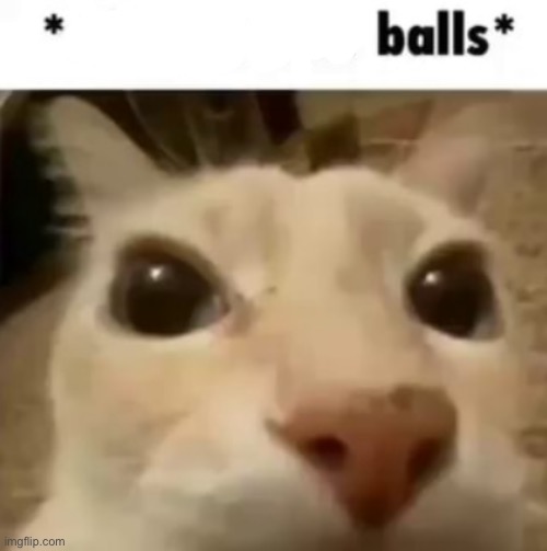 Balls | image tagged in x your balls | made w/ Imgflip meme maker