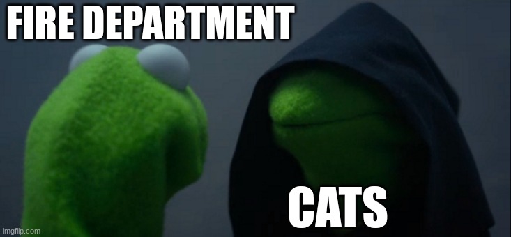 Fire departments don't have a good relationship with cats | FIRE DEPARTMENT; CATS | image tagged in memes,evil kermit,cats,jpfan102504 | made w/ Imgflip meme maker
