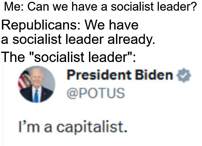 Democrats Are Not Leftists | Me: Can we have a socialist leader? Republicans: We have a socialist leader already. The "socialist leader": | image tagged in democrats,republicans,socialism,socialist,socialists,joe biden | made w/ Imgflip meme maker