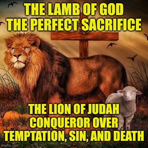 The lion and the lamb | THE LAMB OF GOD
THE PERFECT SACRIFICE; THE LION OF JUDAH
CONQUEROR OVER TEMPTATION, SIN, AND DEATH | image tagged in the lion and the lamb | made w/ Imgflip meme maker