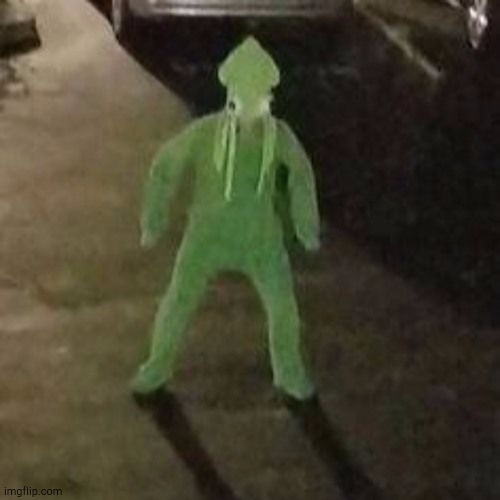 Squid boi | image tagged in squid boi | made w/ Imgflip meme maker