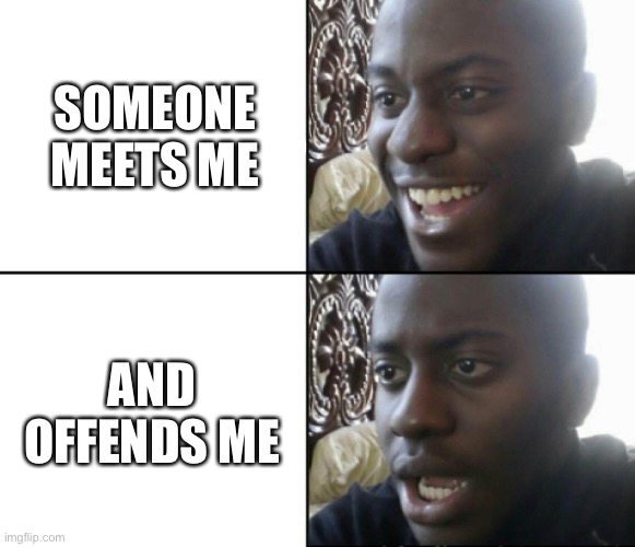 Roblox me | SOMEONE MEETS ME; AND OFFENDS ME | image tagged in happy / shock | made w/ Imgflip meme maker