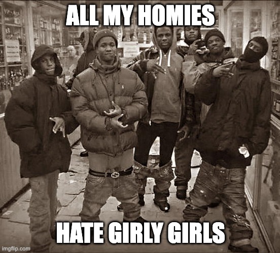 i hope the boys agree to this | ALL MY HOMIES; HATE GIRLY GIRLS | image tagged in all my homies hate,memes,funny memes,funny,fun | made w/ Imgflip meme maker