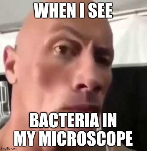 Oh so that is how dirty it is? | WHEN I SEE; BACTERIA IN MY MICROSCOPE | image tagged in the rock eyebrows | made w/ Imgflip meme maker