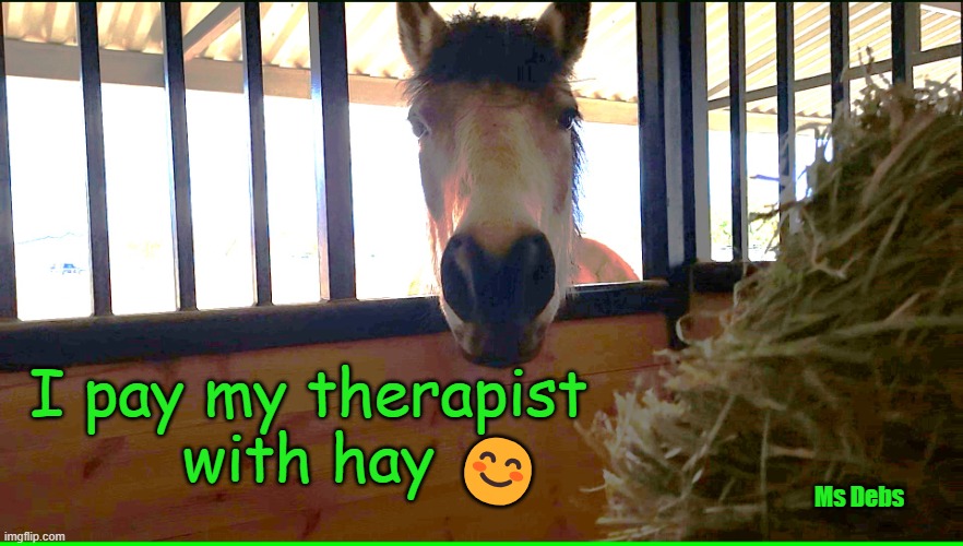 biscuit | I pay my therapist
with hay; 😊; Ms Debs | image tagged in funny memes,horse,funny horse,therapist,memes,biscuits | made w/ Imgflip meme maker