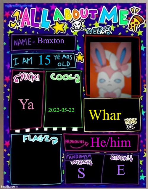 All about me! (Og temp by Jade) | Braxton; 15; Ya; 2022-05-22; Whar; He/him; S; E | image tagged in all about me og temp by jade | made w/ Imgflip meme maker
