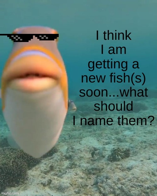 fishyyyyy | image tagged in a,b,c,d,e,f | made w/ Imgflip meme maker