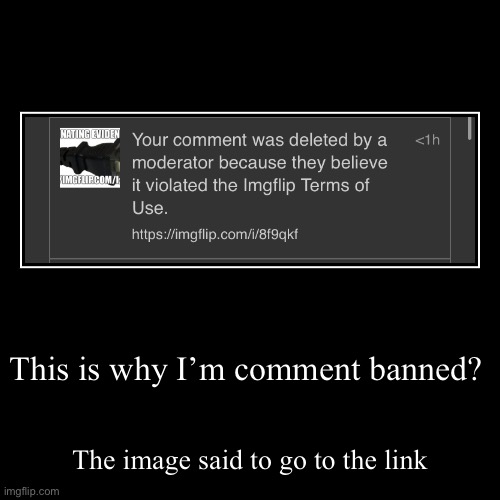This is why I’m comment banned? | The image said to go to the link | image tagged in funny,demotivationals | made w/ Imgflip demotivational maker