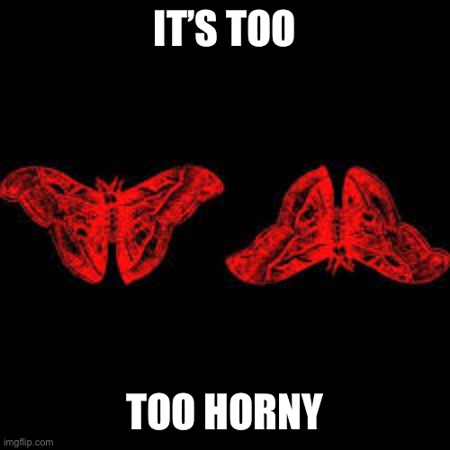 IT’S TOO; TOO HORNY | made w/ Imgflip meme maker