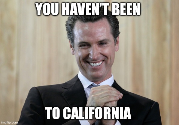 Scheming Gavin Newsom  | YOU HAVEN’T BEEN TO CALIFORNIA | image tagged in scheming gavin newsom | made w/ Imgflip meme maker