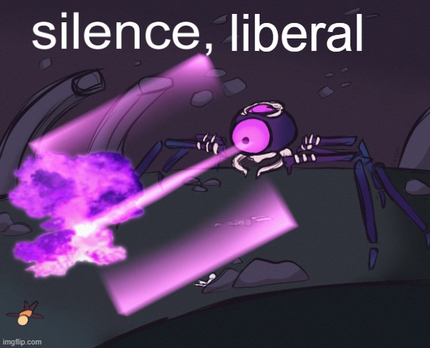 so i killed this mf | liberal | image tagged in silence crab ror2 edition | made w/ Imgflip meme maker