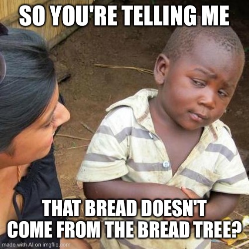 Third World Skeptical Kid | SO YOU'RE TELLING ME; THAT BREAD DOESN'T COME FROM THE BREAD TREE? | image tagged in memes,third world skeptical kid | made w/ Imgflip meme maker