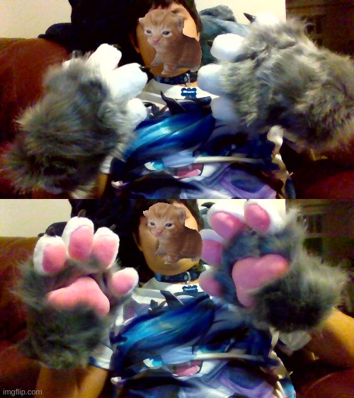 my wolf paws came today ^_^ | image tagged in wolf paws,furry,fun | made w/ Imgflip meme maker