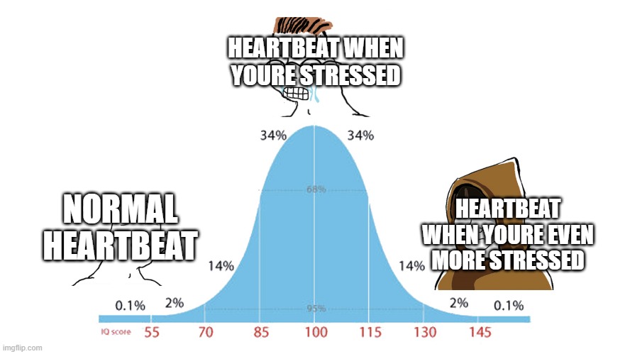 99% graph | HEARTBEAT WHEN YOURE STRESSED; HEARTBEAT WHEN YOURE EVEN MORE STRESSED; NORMAL HEARTBEAT | image tagged in 99 graph | made w/ Imgflip meme maker