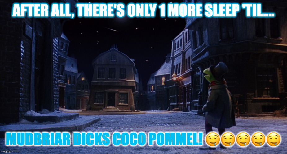 Muppet Christmas Carol Kermit One More Sleep | AFTER ALL, THERE'S ONLY 1 MORE SLEEP 'TIL.... MUDBRIAR DICKS COCO POMMEL! 🤤🤤🤤🤤🤤 | image tagged in muppet christmas carol kermit one more sleep | made w/ Imgflip meme maker