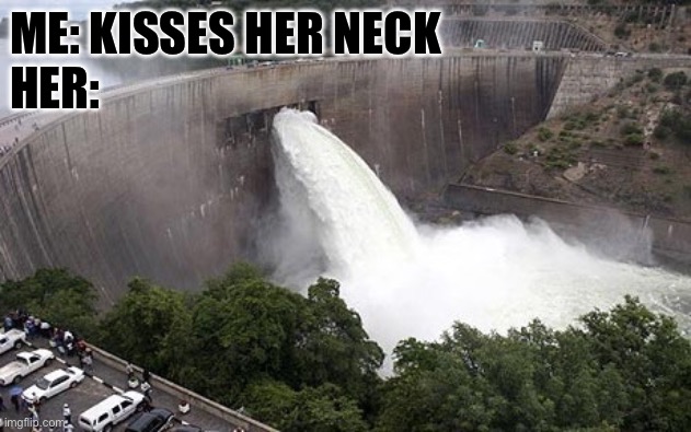 Kisses neck | ME: KISSES HER NECK
HER: | image tagged in floodgate,neck,kiss,wet | made w/ Imgflip meme maker