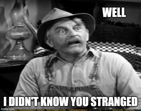 Didnt Know You Stranged Briscoe Darling | WELL; I DIDN'T KNOW YOU STRANGED | image tagged in andy griffith,music,guitar | made w/ Imgflip meme maker