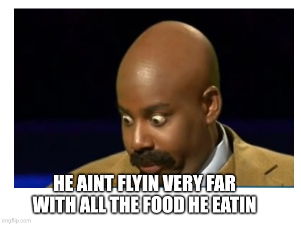 HE AINT FLYIN VERY FAR WITH ALL THE FOOD HE EATIN | made w/ Imgflip meme maker