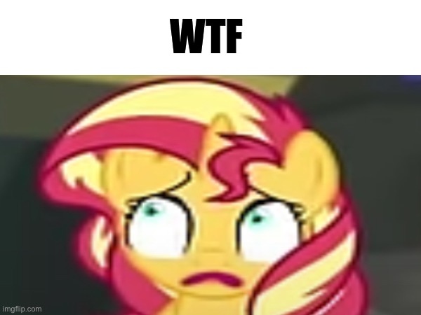 WTF | WTF | image tagged in sunset shimmer,wtf,my little pony,mlp,mlp meme | made w/ Imgflip meme maker