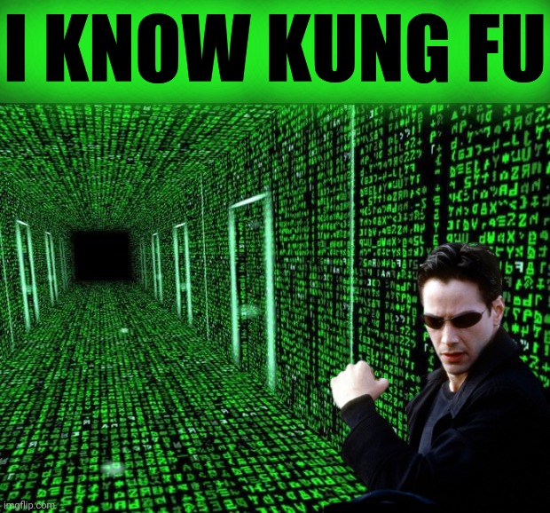 Matrix hallway code | I KNOW KUNG FU | image tagged in matrix hallway code | made w/ Imgflip meme maker
