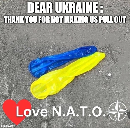 Dear John Ukraine | DEAR UKRAINE :; THANK YOU FOR NOT MAKING US PULL OUT | image tagged in ukraine,ukraine flag,vladimir putin,us military,nato,united nations | made w/ Imgflip meme maker