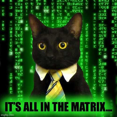 Business Cat Matrix | IT’S ALL IN THE MATRIX... | image tagged in business cat matrix | made w/ Imgflip meme maker