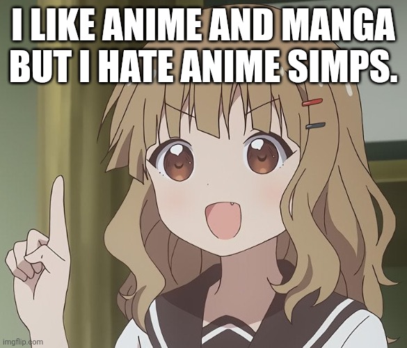 No title | I LIKE ANIME AND MANGA BUT I HATE ANIME SIMPS. | image tagged in the person above me | made w/ Imgflip meme maker