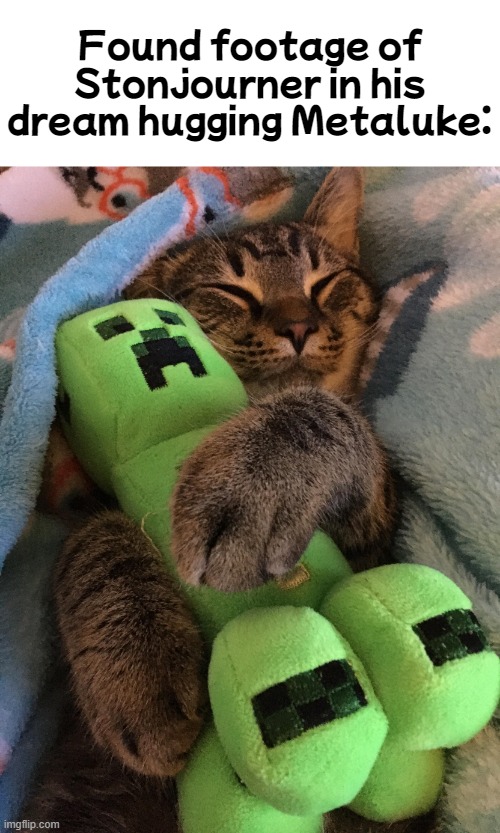 In my dreams, I would hug Metaluke (Inspired by Batim)(mod note: thats a creeper) | Found footage of Stonjourner in his dream hugging Metaluke: | image tagged in cat hugging creeper | made w/ Imgflip meme maker