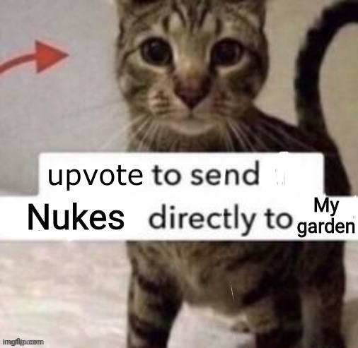 Please upvote /srs | My garden; Nukes | image tagged in upvote to send kindness directly to this cat | made w/ Imgflip meme maker