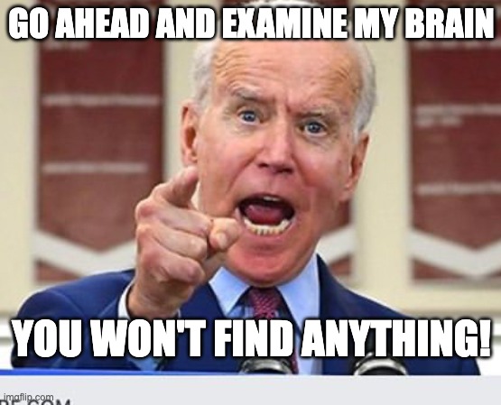 Joe Biden no malarkey | GO AHEAD AND EXAMINE MY BRAIN; YOU WON'T FIND ANYTHING! | image tagged in joe biden no malarkey | made w/ Imgflip meme maker