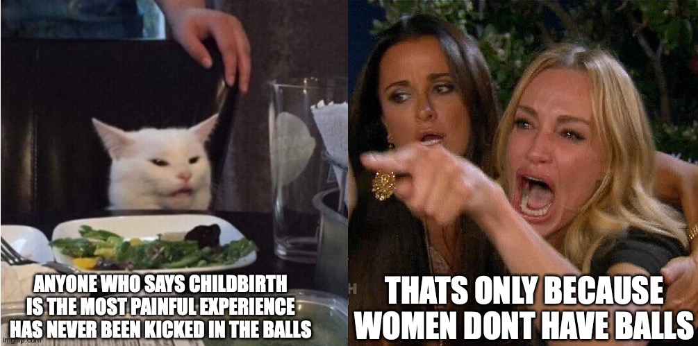 reverse cat at dinner table | THATS ONLY BECAUSE WOMEN DONT HAVE BALLS; ANYONE WHO SAYS CHILDBIRTH IS THE MOST PAINFUL EXPERIENCE HAS NEVER BEEN KICKED IN THE BALLS | image tagged in reverse cat at dinner table | made w/ Imgflip meme maker