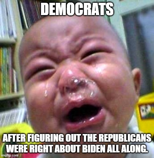 Shhhhhh, it will be ok. Trump is coming. | DEMOCRATS; AFTER FIGURING OUT THE REPUBLICANS WERE RIGHT ABOUT BIDEN ALL ALONG. | image tagged in crying baby snot bubble,trump 2024,maga,crying democrats,dementia joe biden,we were right | made w/ Imgflip meme maker