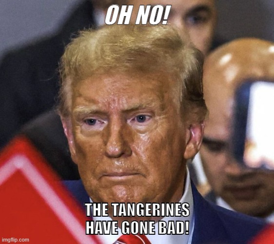 bad tangerines | OH NO! THE TANGERINES HAVE GONE BAD! | image tagged in trump butterface | made w/ Imgflip meme maker
