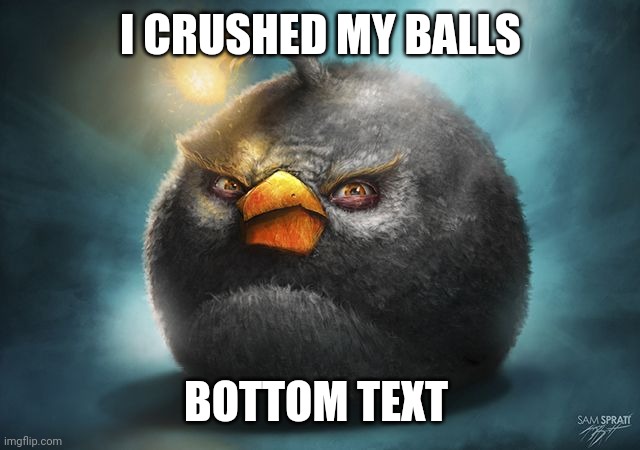 angry birds bomb | I CRUSHED MY BALLS BOTTOM TEXT | image tagged in angry birds bomb | made w/ Imgflip meme maker