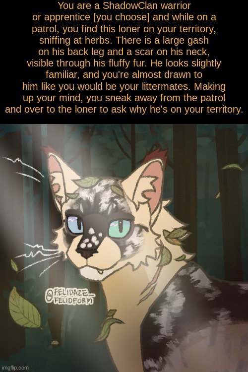 ShadowClan is ruled by the second Tigerstar [Tigerheart after he received his nine lives] | You are a ShadowClan warrior or apprentice [you choose] and while on a patrol, you find this loner on your territory, sniffing at herbs. There is a large gash on his back leg and a scar on his neck, visible through his fluffy fur. He looks slightly familiar, and you're almost drawn to him like you would be your littermates. Making up your mind, you sneak away from the patrol and over to the loner to ask why he's on your territory. | image tagged in romance allowed,no killing him,no joke/bambi ocs | made w/ Imgflip meme maker