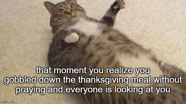 fat-cat/din din | that moment you realize you gobbled down the thanksgiving meal without praying and everyone is looking at you | image tagged in cat,fat,thanksgiving dinner,prayer | made w/ Imgflip meme maker
