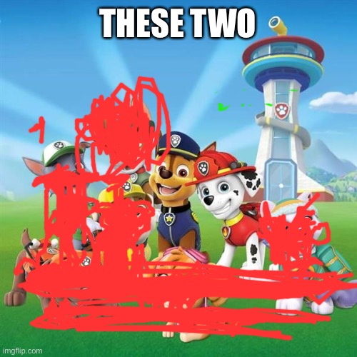 PAW Patrol | THESE TWO | image tagged in paw patrol | made w/ Imgflip meme maker
