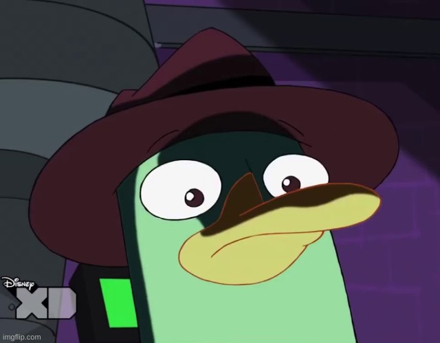 Unsettled Perry the platypus | image tagged in unsettled perry the platypus | made w/ Imgflip meme maker