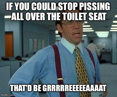 That Would Be Great Meme | IF YOU COULD STOP PISSING ALL OVER THE TOILET SEAT THAT'D BE GRRRRREEEEEAAAAT | image tagged in memes,that would be great | made w/ Imgflip meme maker
