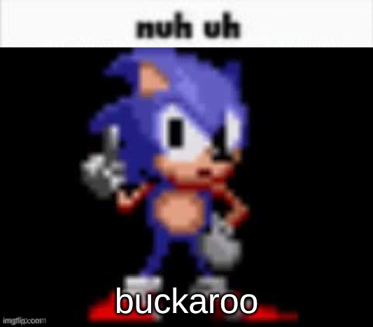 CD Sonic Nuh Uh | buckaroo | image tagged in cd sonic nuh uh | made w/ Imgflip meme maker