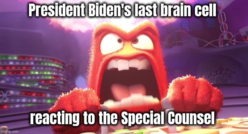 Smart enough to be insulted | President Biden's last brain cell; reacting to the Special Counsel | image tagged in inside out anger,joe biden worries,media bias,well yes but actually no,truth hurts,politicians suck | made w/ Imgflip meme maker