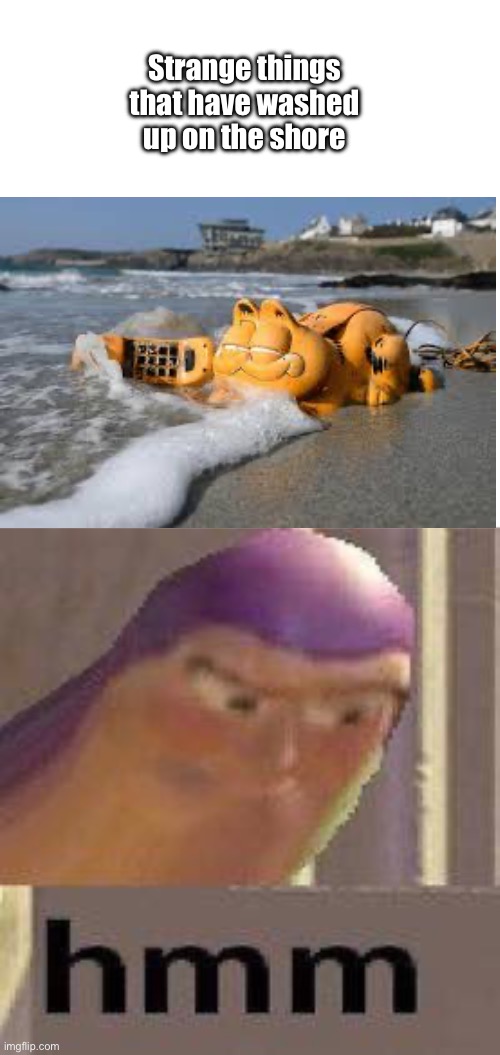 Why was it in the C… | Strange things that have washed up on the shore | image tagged in buzz lightyear hmm | made w/ Imgflip meme maker