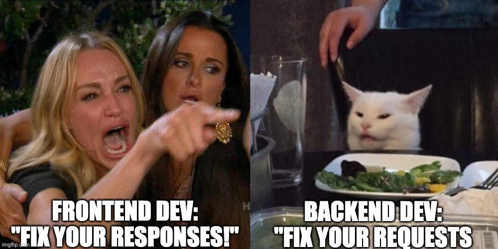 frontend dev vs backend dev | FRONTEND DEV: "FIX YOUR RESPONSES!"; BACKEND DEV: "FIX YOUR REQUESTS | image tagged in woman yelling at cat,coding,software,development,computers | made w/ Imgflip meme maker