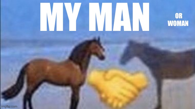 horse handshake my man | MY MAN OR WOMAN | image tagged in horse handshake my man | made w/ Imgflip meme maker